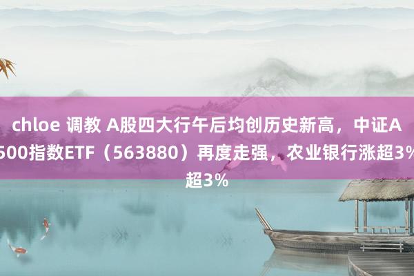chloe 调教 A股四大行午后均创历史新高，中证A500指数ETF（563880）再度走强，农业银行涨超3%