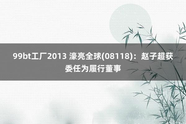 99bt工厂2013 濠亮全球(08118)：赵子超获委任为履行董事
