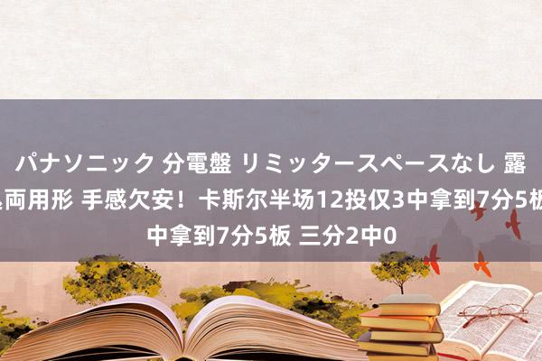 パナソニック 分電盤 リミッタースペースなし 露出・半埋込両用形 手感欠安！卡斯尔半场12投仅3中拿到7分5板 三分2中0