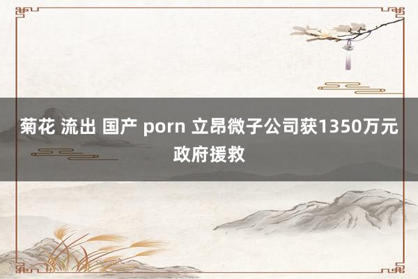 菊花 流出 国产 porn 立昂微子公司获1350万元政府援救